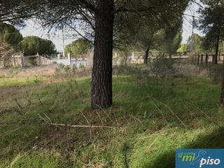 Residential Plot in A-11 338