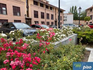 Pis a Plaza donantes de sangre 4. Oportunidad vivienda seminueva en la mejor zona de olmedo de tre