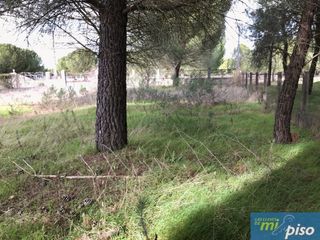 Terreny residencial a Carretera de valladolid a soria. Terreno residencial