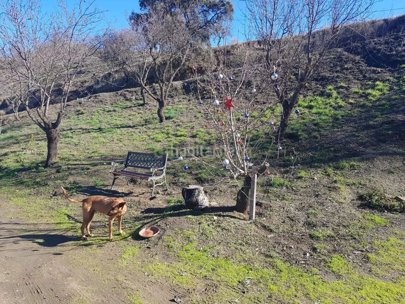 Foto bc05a94a-7edf-4ef6-832c-45d078ae177a. Finca rústica a Ardales