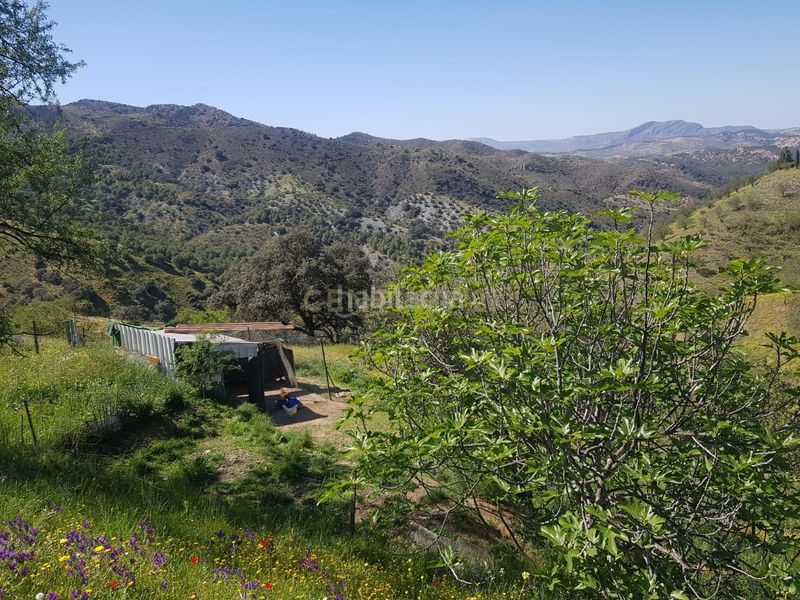 Foto c08f6f64-db9d-4997-aa5c-ac524f046a4a. Finca rústica a Ardales