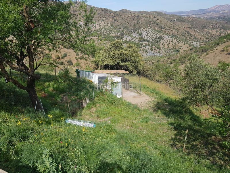 Foto e1b94812-9cb3-4d4d-9c4d-b5bd044aa7a8. Finca rústica a Ardales