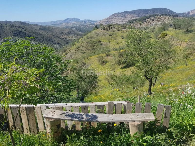 Foto f95760a6-42e2-4582-a847-66d76c1e4ab8. Finca rústica a Ardales