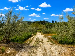 Finca rústica en Partida Chozones, 8, 29120, Málaga, Spain