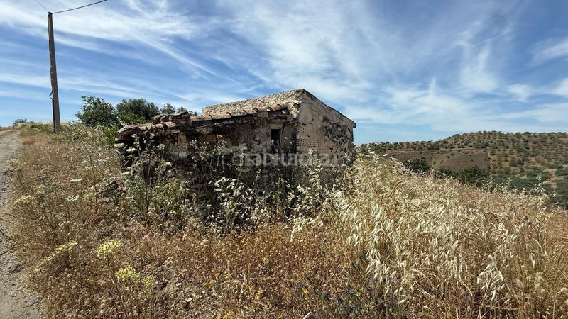 Foto b9eb9baf-ca46-4bc9-8365-65a0cb66c594. Finca rústica a Sedella