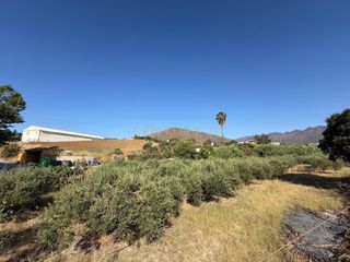 Finca rústica a Polígono 14 parcela 58 entre rios. mijas (málaga). Terreno rústico en mijas, málaga  ideal para tu proyecto