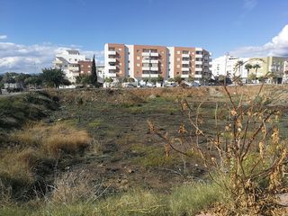 Terreno residenziale in ACEITUNEROS, ACEITUNERO