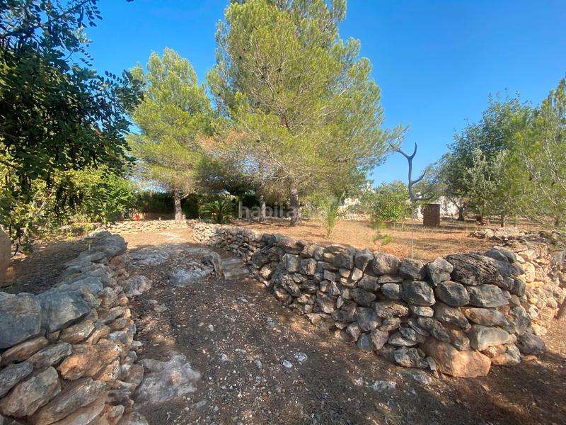 Foto 21b531be-2d9c-478e-ae47-c0004c089702. Terreny residencial a Catadau