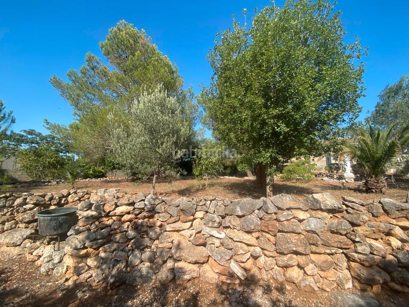 Foto 377358bd-24dc-4dcd-aa44-55e0c98655e6. Terreny residencial a Catadau