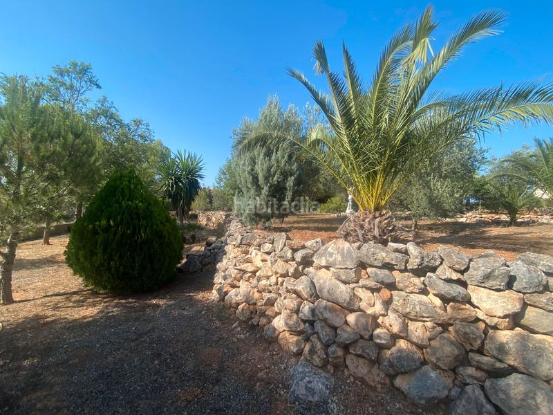 Foto 5cebb16e-02a4-4288-b01e-d3d2674850a1. Terreny residencial a Catadau