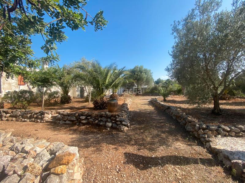 Foto 92973021-a118-4375-ab50-5a562806fad5. Terreny residencial a Catadau