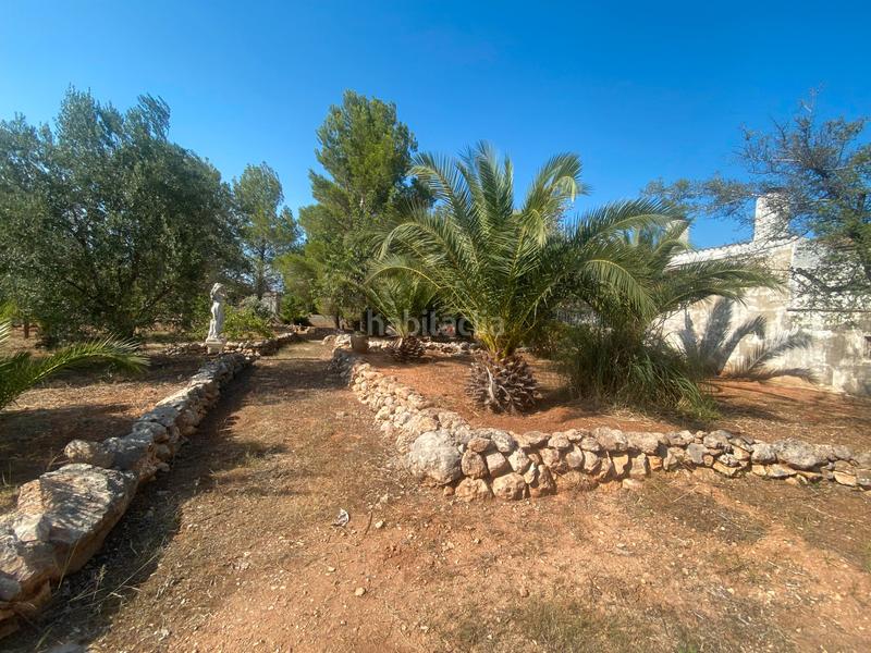 Foto 9e80aad7-c433-4c14-8970-bd197a153896. Terreny residencial a Catadau