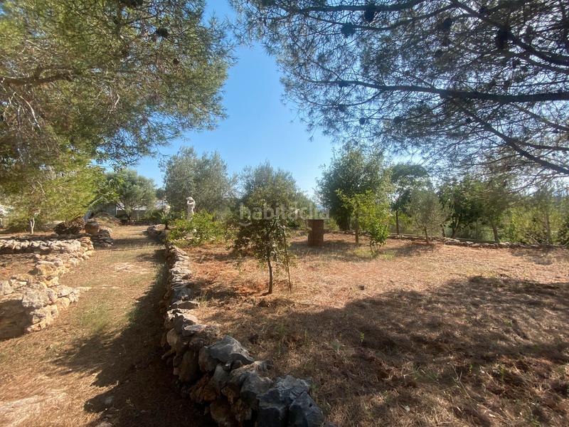 Foto 9fbe9f87-523b-4a1a-b9a8-a10a04fff534. Terreny residencial a Catadau