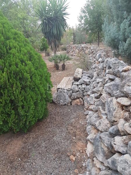 Foto b695f4e2-5b77-4288-9102-19c753580e98. Terreny residencial a Catadau