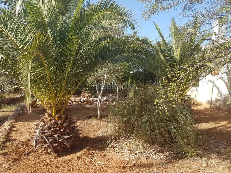 Foto f06d3e4d-0f2c-410d-bbe1-c306a8e02d90. Terreny residencial a Catadau