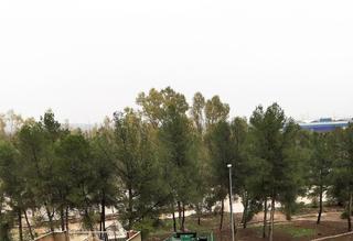 Pis  N/a. Disponibles 2 pisos en el centro de la ciudad, de 222 m2 cada un