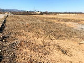 Finca rústica a Carlet. Parcela rústica en la zona estepar