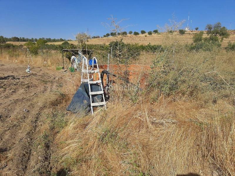 Foto 0ef578ea-4f22-4d22-b175-fa9db3abe8ab. Chalet avec parking dans Calamonte
