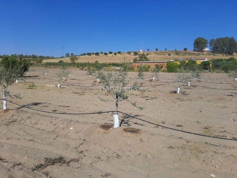 Foto 11a808d4-a45a-40dd-8824-9c6c7c4bc99e. Chalet avec parking dans Calamonte