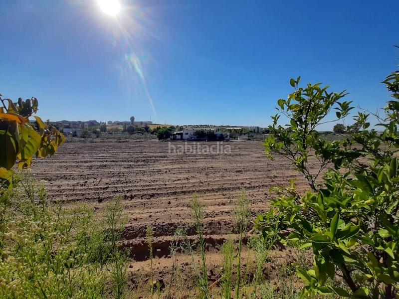 Foto 38df1ca0-2fd1-428c-972c-234d50d02fd6. Chalet avec parking dans Calamonte