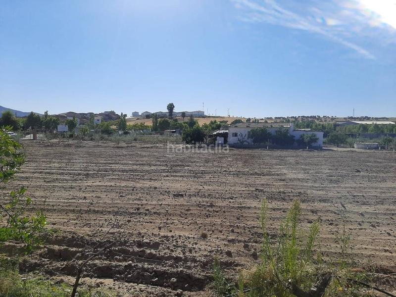 Foto 3e5a19c4-37c4-459b-b9ed-b808fc59136f. Chalet avec parking dans Calamonte