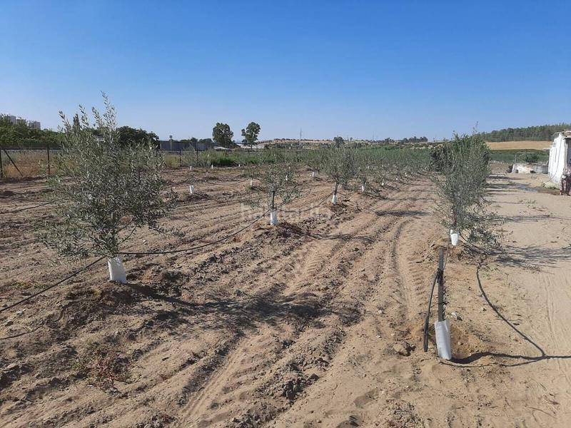 Foto 7184ec10-b933-48c4-a54a-d66416db0c59. Chalet avec parking dans Calamonte