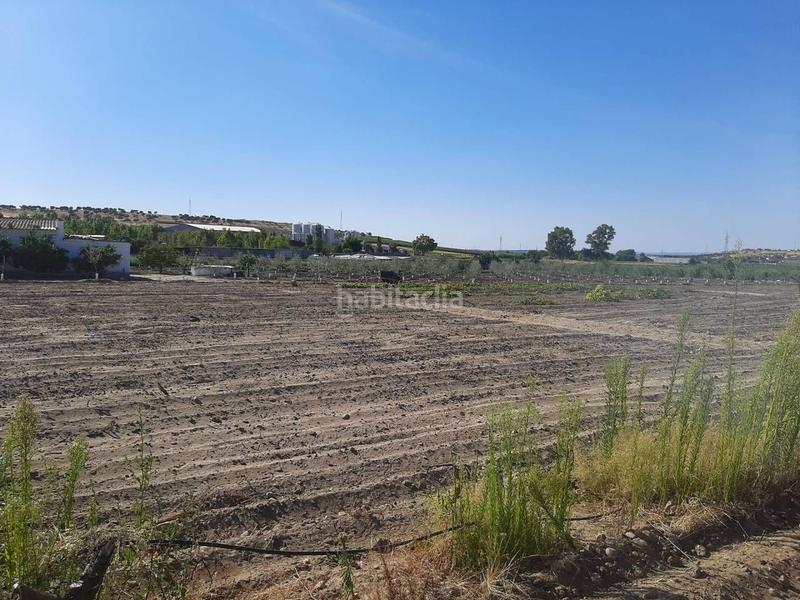 Foto 97655adf-b34d-40e0-af10-614247ae881e. Chalet avec parking dans Calamonte