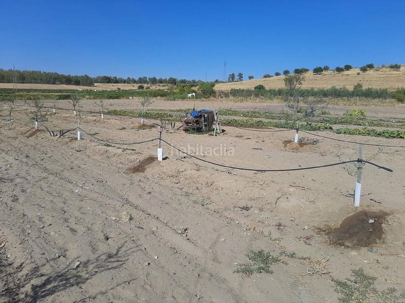 Foto 9fcc04d9-27bf-48be-9c59-52dd018e64ab. Chalet avec parking dans Calamonte