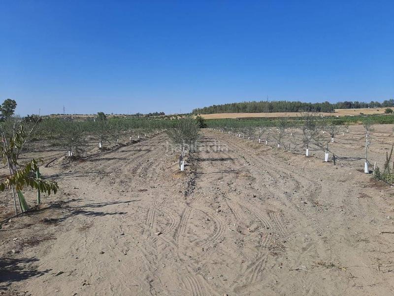 Foto c46f8157-9871-4651-9e92-b53abe0ffe9c. Chalet avec parking dans Calamonte