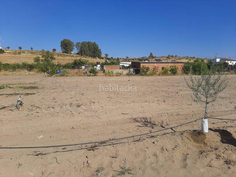 Foto dcfd63d9-6bac-4e82-bd60-fedcc0b88848. Chalet avec parking dans Calamonte