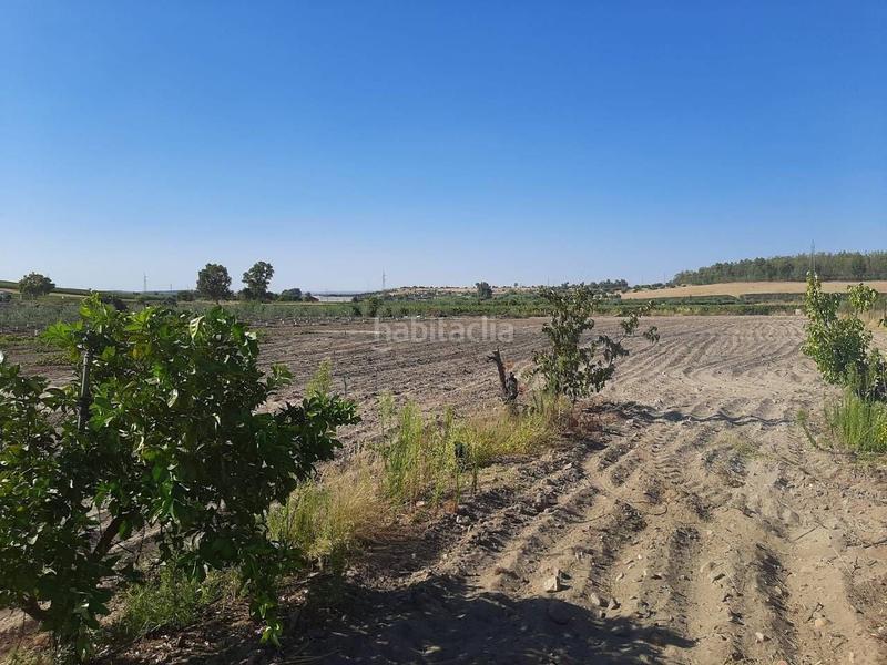 Foto f1206771-f8d0-4911-99b0-d8dfa0a62328. Chalet avec parking dans Calamonte