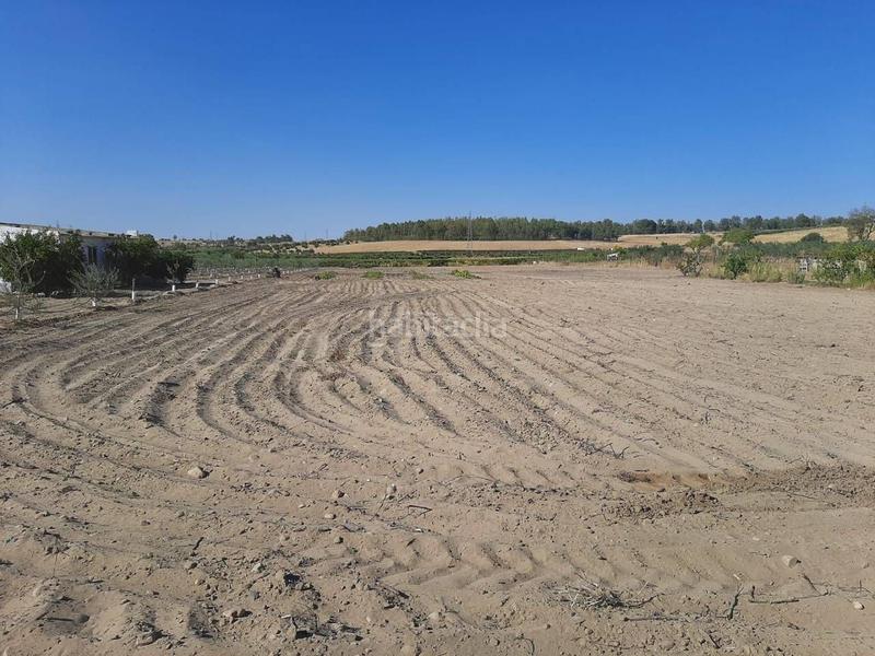 Foto f1547fdc-0254-4594-a8ab-a26808cdd35c. Chalet avec parking dans Calamonte