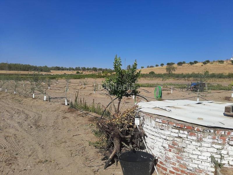 Foto f6d1dc38-965f-461f-92e5-9edb4af8739e. Chalet avec parking dans Calamonte