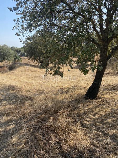 Foto 742b1cb1-a2a7-4f1c-91ec-ec39572dca4d. Rural plot in Este Mérida