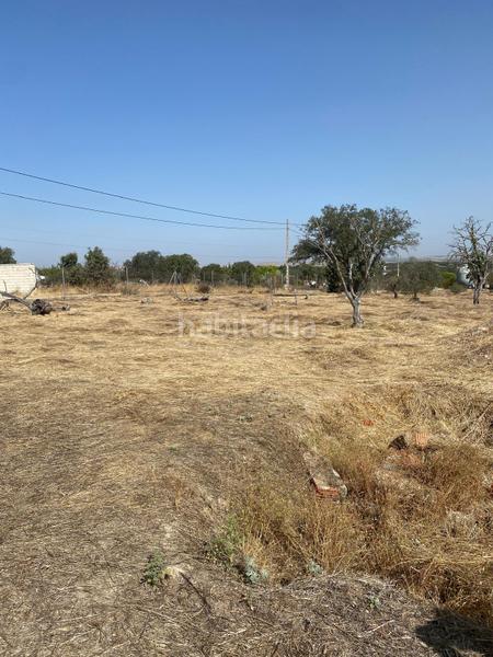 Foto 8a5bbb59-d944-46d1-9221-4967c409956b. Rural plot in Este Mérida