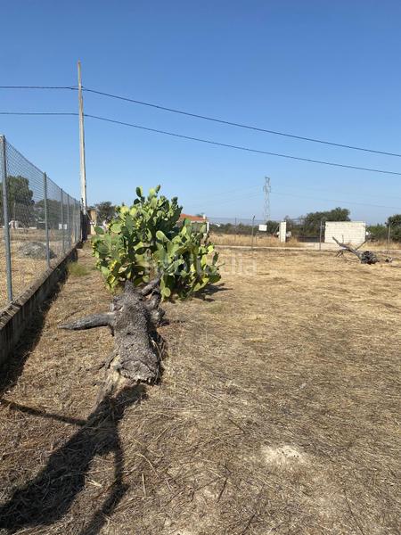 Foto 9611911a-2707-466e-9ddc-d22afdda0c81. Rural plot in Este Mérida