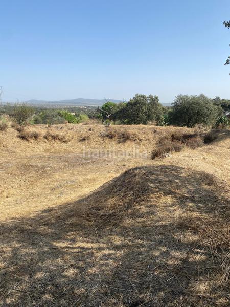 Foto be727b6e-6078-49b0-9855-cf36e194ce09. Rural plot in Este Mérida