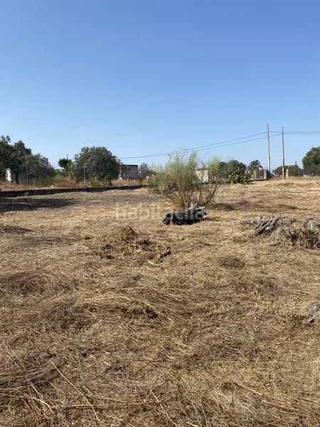 Foto c09a4ae2-a70b-4143-8bc1-10347ab11b0a. Rural plot in Este Mérida