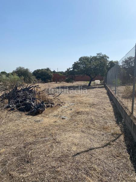 Foto d06f7469-829a-49d7-97a2-0a079972ac44. Rural plot in Este Mérida