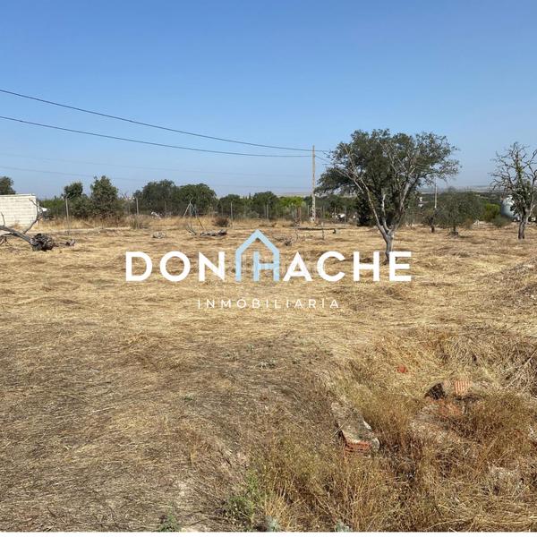 Foto fa92295c-54b5-4a49-97d0-4ad787496a73. Rural plot in Este Mérida