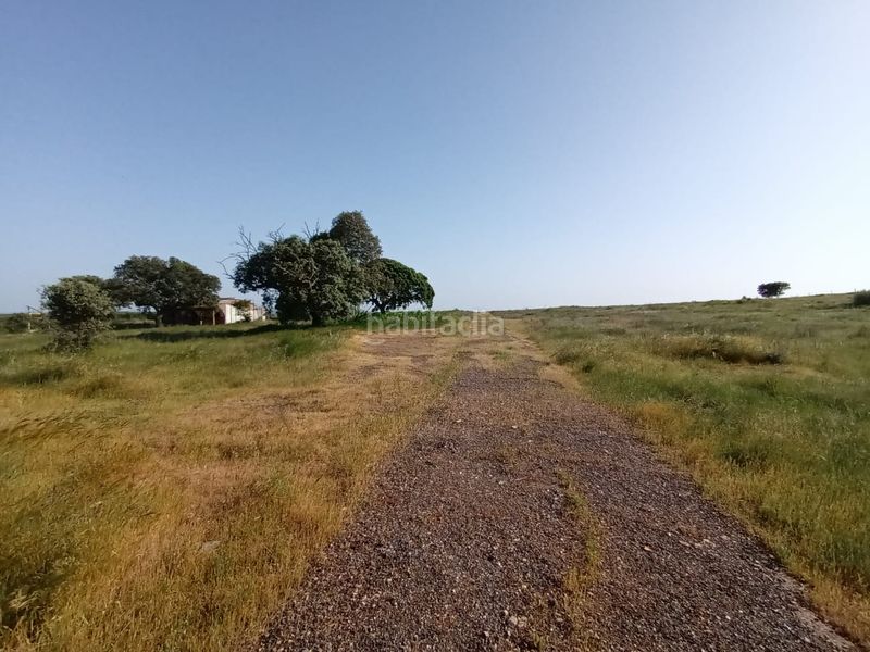 Foto 1f8c30e5-3f27-4d88-b183-959cc6e3fb4e. Finca rústica en Este Mérida