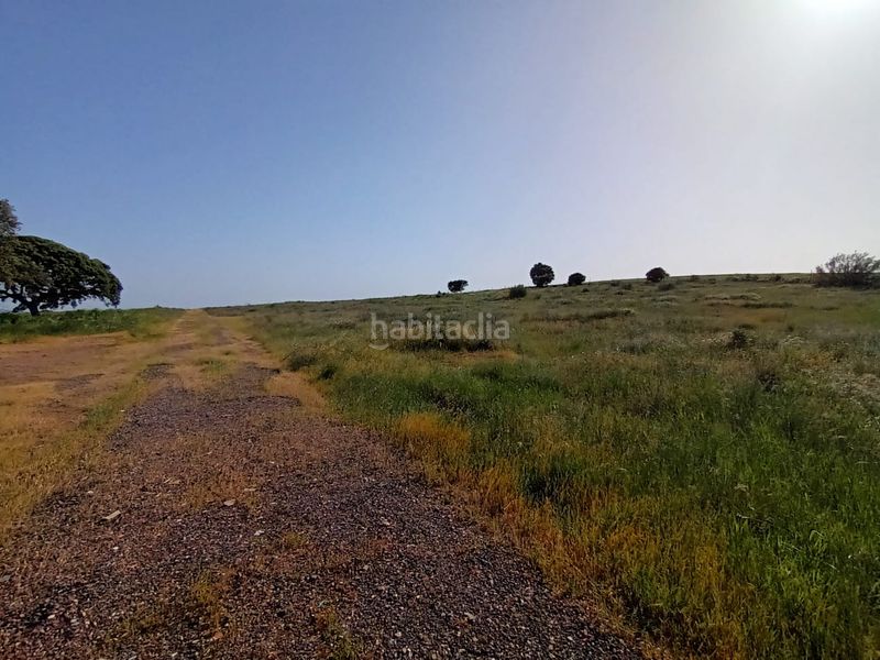 Foto 2f0a8bad-a25d-489b-90c6-764f482db0fd. Finca rústica en Este Mérida