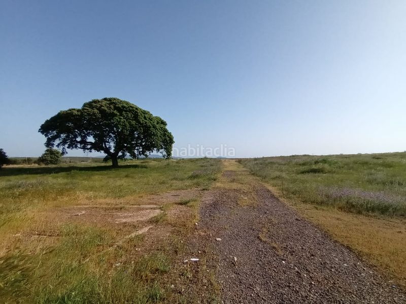 Foto 7d8c52dc-12b7-47e2-8663-aa41ae30f04c. Finca rústica en Este Mérida