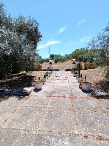 Foto 7aa49dab-cb8b-4c2f-9ab1-24b8b18ab896. Casa amb aparcament piscina a Don Álvaro