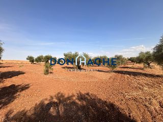 Rural plot in Este. ¡excelente oportunidad! don hache inmobiliaria