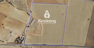Finca rústica en Pozuelo del Rey. En venta parcela rústica de uso agrícola en  pozuelo del rey, ma