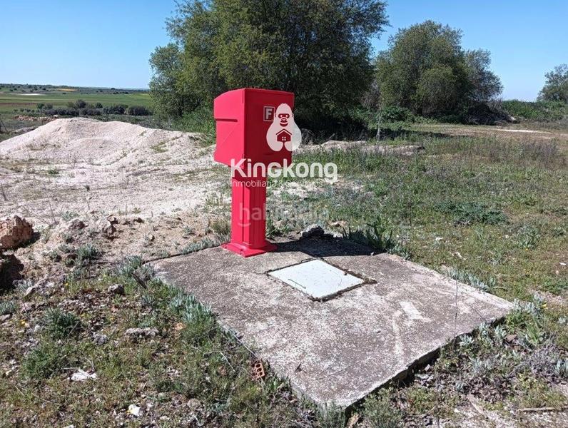 Foto 915b55a9-aa1e-4720-b466-b6f4eab77c2c. Fondo rustico in Valdilecha