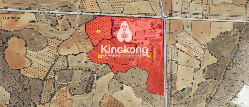 Foto 968812c5-26a3-4510-85bb-8326aaebf348. Fondo rustico in Valdilecha