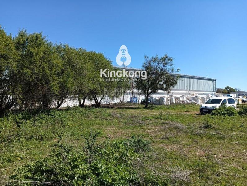 Foto da69acee-d92f-4caa-8022-fcefa5e0fbfa. Fondo rustico in Valdilecha