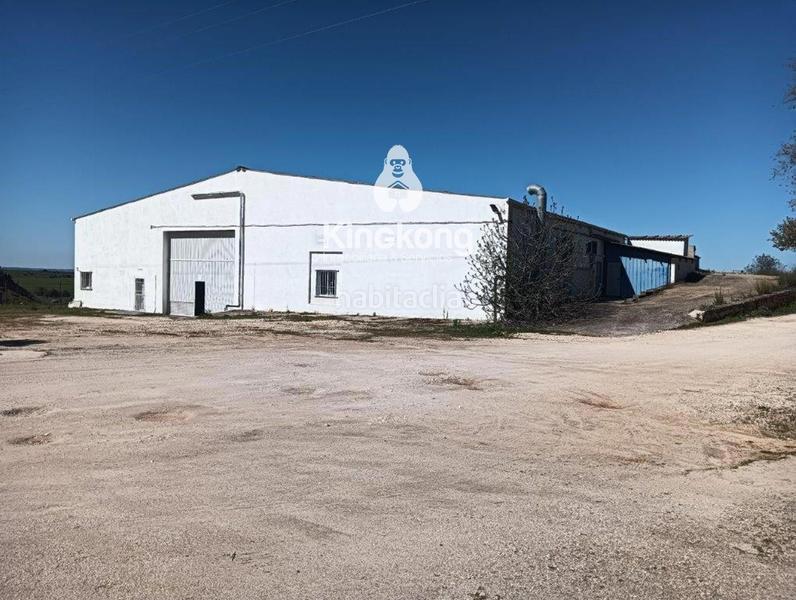 Foto dea8a462-c234-4319-b94e-195c4138c099. Fondo rustico in Valdilecha